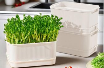 Satpurush Sprout Maker – Three-Layer Sprout Growing Kit (White), Durable Box for Microgreens, Hydroponic and Healthy Seed Cultivation.