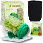 Sprout Maker Jars, Sprouting Glass Jar Design Is Registered In IP India, Green, Pack of 1, 720 ml